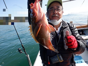 遊漁船 幸友丸 釣果