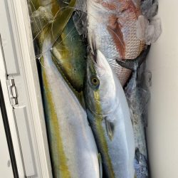 海龍丸(福岡) 釣果