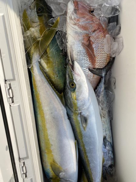 海龍丸(福岡) 釣果