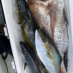 海龍丸(福岡) 釣果