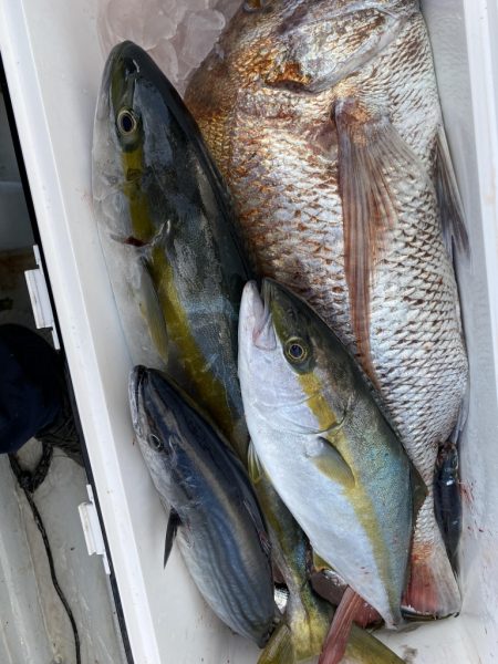 海龍丸(福岡) 釣果