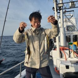 ブルーピア 釣果