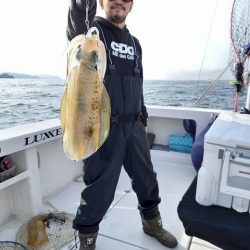 フィッシングボートACE（エース） 釣果