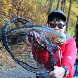 小菅トラウトガーデン 釣果