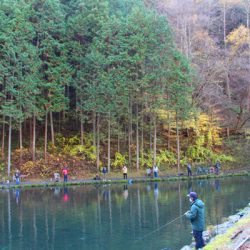 小菅トラウトガーデン 釣果