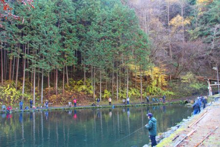 小菅トラウトガーデン 釣果