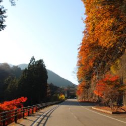小菅トラウトガーデン 釣果
