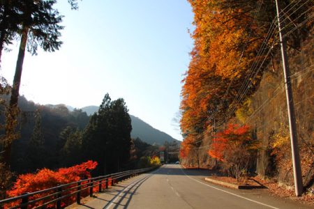 小菅トラウトガーデン 釣果