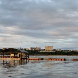本部釣りイカダ 釣果