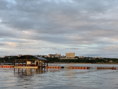 本部釣りイカダ 釣果
