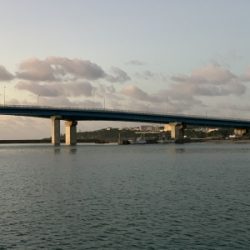 本部釣りイカダ 釣果