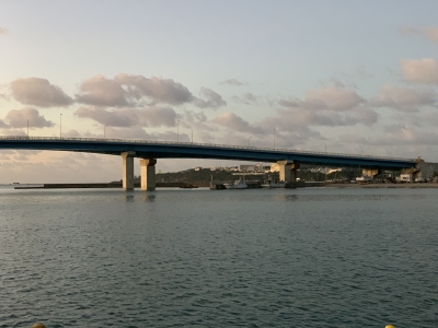 本部釣りイカダ 釣果