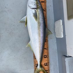 海龍丸（福岡） 釣果