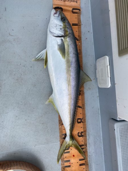 海龍丸（福岡） 釣果