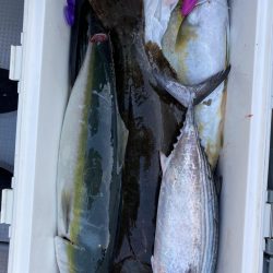 海龍丸（福岡） 釣果