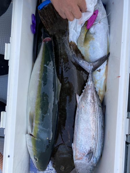 海龍丸（福岡） 釣果