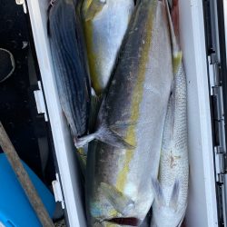 海龍丸（福岡） 釣果