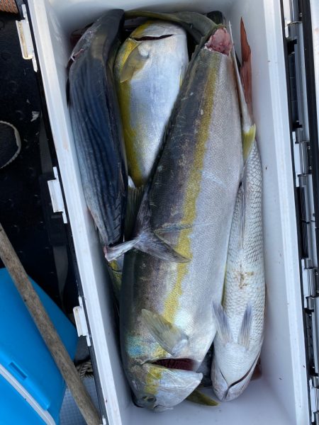 海龍丸（福岡） 釣果