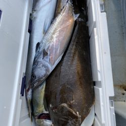海龍丸（福岡） 釣果
