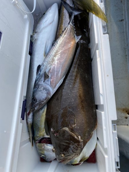 海龍丸（福岡） 釣果