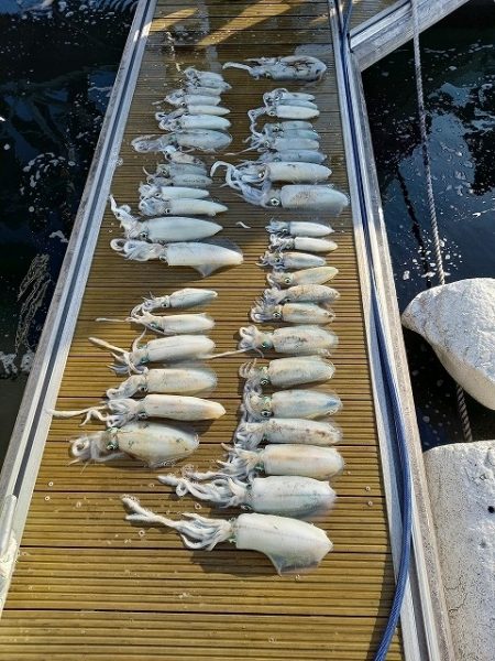 フィッシングボートACE（エース） 釣果