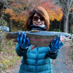 小菅トラウトガーデン 釣果