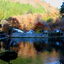 小菅トラウトガーデン 釣果