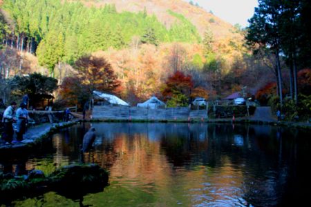 小菅トラウトガーデン 釣果