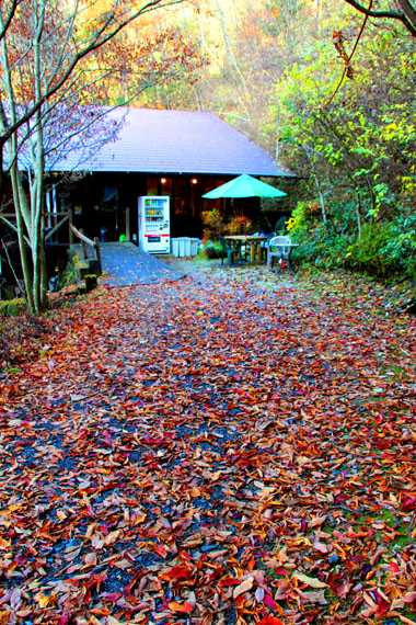 小菅トラウトガーデン 釣果