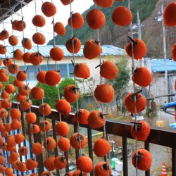 小菅トラウトガーデン 釣果