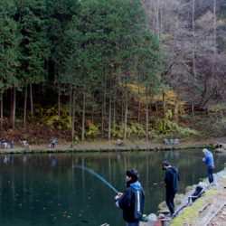 小菅トラウトガーデン 釣果
