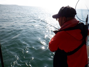 遊漁船 幸友丸 釣果