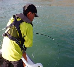 遊漁船 幸友丸 釣果