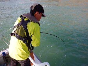 遊漁船 幸友丸 釣果