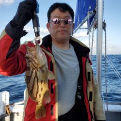 ブルーピア 釣果