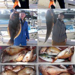 来温丸（らいおんまる） 釣果