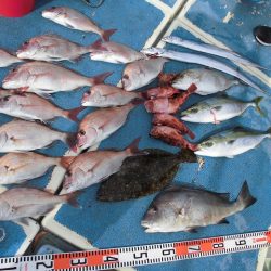 十八宝洋丸 釣果