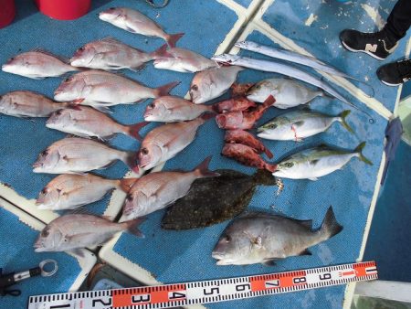 十八宝洋丸 釣果