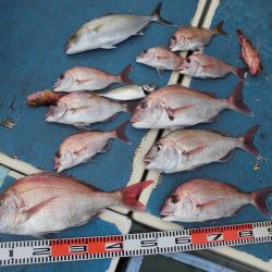 十八宝洋丸 釣果