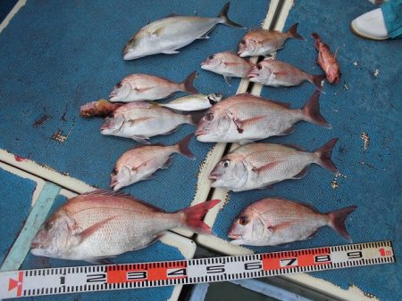 十八宝洋丸 釣果