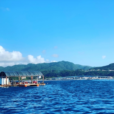 本部釣りイカダ 釣果