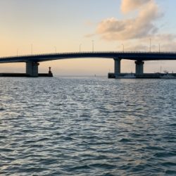 本部釣りイカダ 釣果