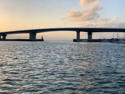 本部釣りイカダ 釣果