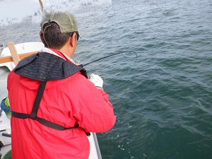 遊漁船 幸友丸 釣果