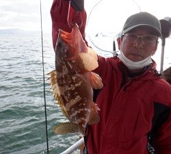 遊漁船 幸友丸 釣果