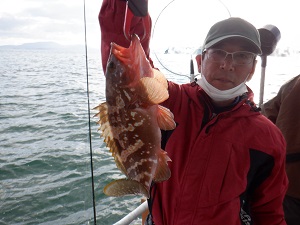 遊漁船 幸友丸 釣果