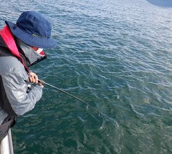 遊漁船 幸友丸 釣果