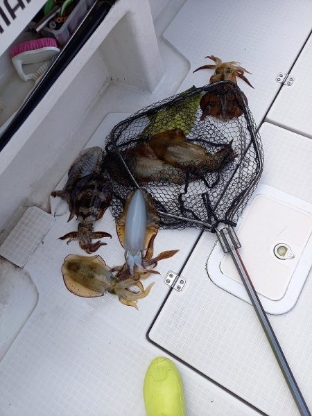 フィッシングボートACE(エース) 釣果