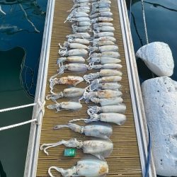 フィッシングボートACE(エース) 釣果