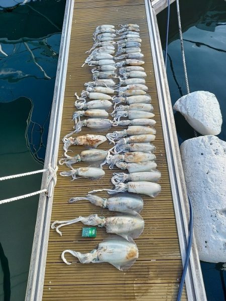 フィッシングボートACE(エース) 釣果